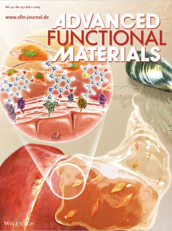 ADVANCED FUNCTIONAL MATERIALS 2015
