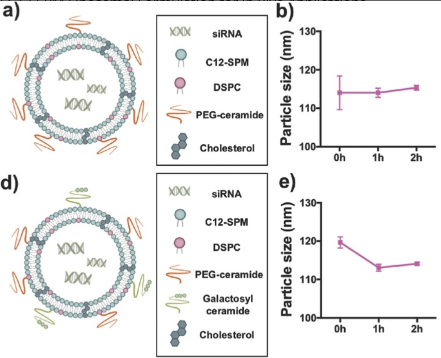 Galactosylated Lipidoid Nanoparticles for Delivery of Small Interfering RNA to Inhibit Hepatitis C Viral Replication In Vivo.