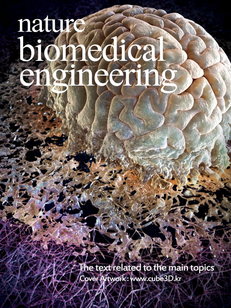 NATURE BIOMEDICAL ENGINEERING 2018