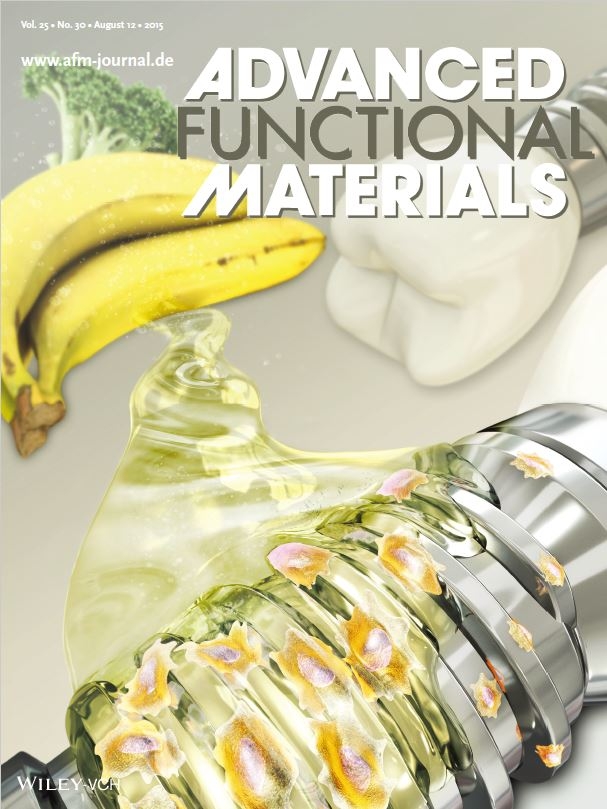 ADVANCED FUNCTIONAL MATERIALS 2015