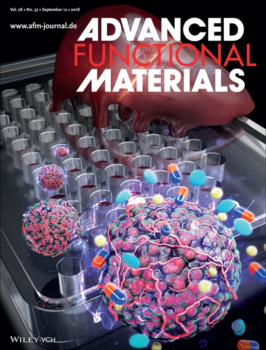 ADVANCED FUNCTIONAL MATERIALS 2018