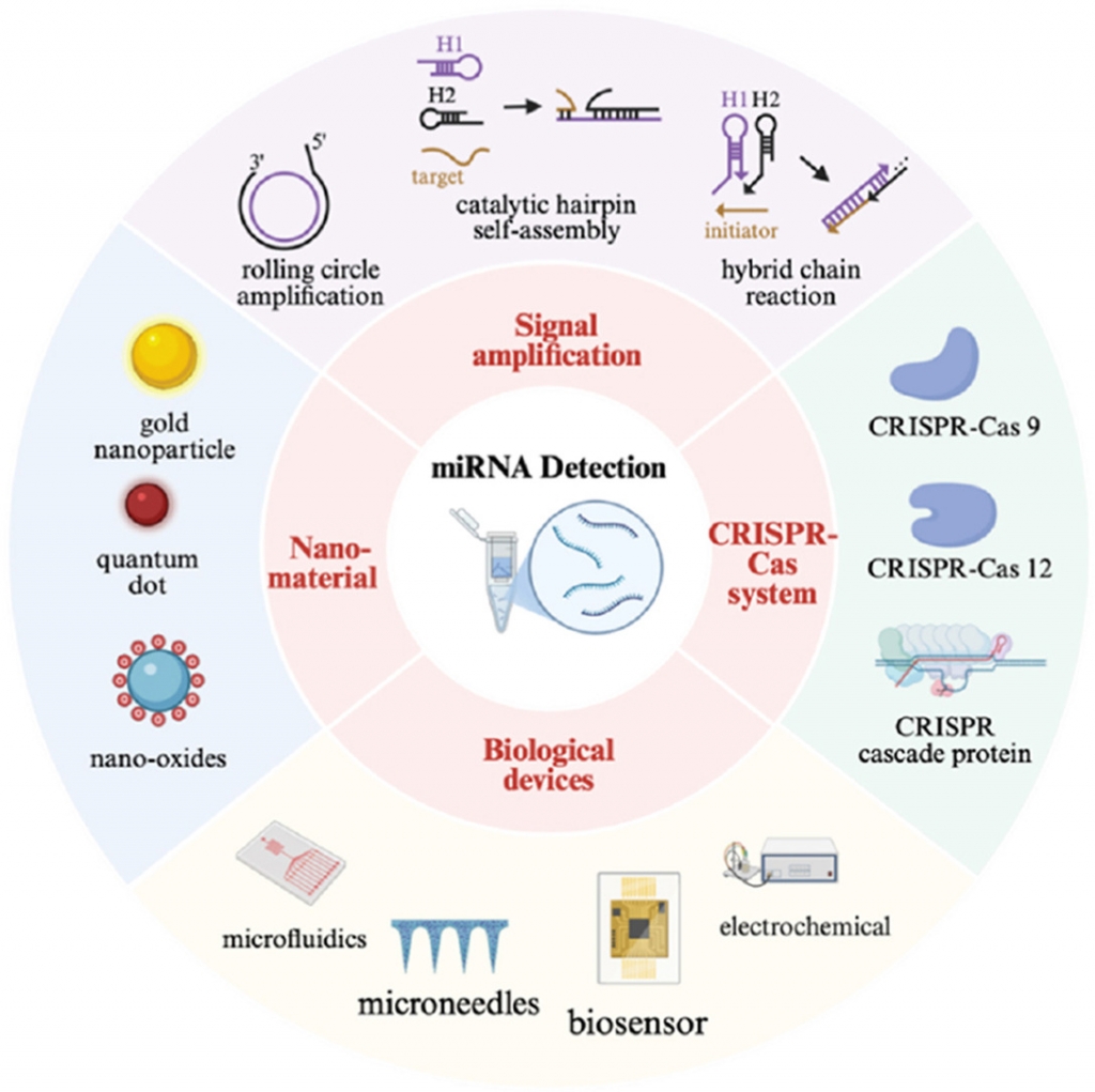 Towards Clinical Application: Emerging Strategies for Ultrasensitive and Selective miRNA Detection