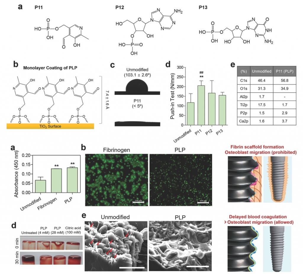 Role of Pyridoxal 5’-Phosphate at the Titanium Implant Interface In Vivo: Increased Hemophilicity, Inactive Platelet Adhesion, and Osteointegration.