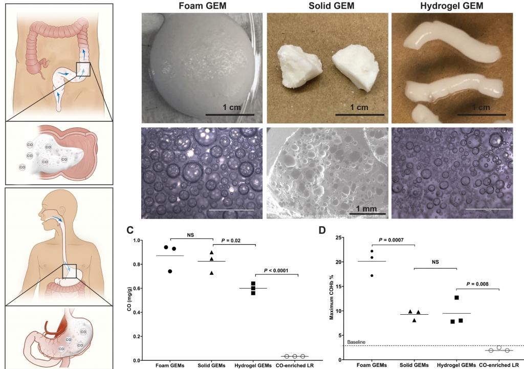 Delivery of Therapeutic Carbon Monoxide by Gas-Entrapping Materials.